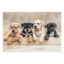 Load image into Gallery viewer, Sure Lox | 12-In-1 Photo Gallery Assortment Puzzle