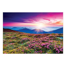 Load image into Gallery viewer, Sure Lox | 12-In-1 Photo Gallery Assortment Puzzle