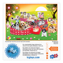 Load image into Gallery viewer, Sure Lox | 300 Piece LOL Puzzle Collection