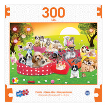 Load image into Gallery viewer, Sure Lox | 300 Piece LOL Puzzle Collection