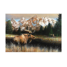 Load image into Gallery viewer, Sure Lox | 500 Piece Wildlife Puzzle Collection