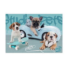 Load image into Gallery viewer, Sure Lox | 500 Piece Studio Pets Puzzle Collection