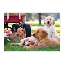 Load image into Gallery viewer, Sure Lox | 500 Piece Royal Deluxe Puzzle