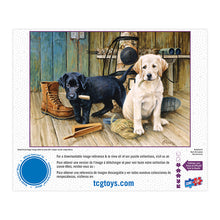 Load image into Gallery viewer, Sure Lox | 3000 Piece Art Gallery Puzzle