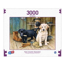Load image into Gallery viewer, Sure Lox | 3000 Piece Art Gallery Puzzle
