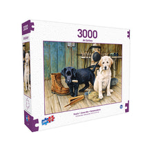 Load image into Gallery viewer, Sure Lox | 3000 Piece Art Gallery Puzzle