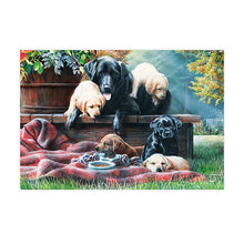 Load image into Gallery viewer, Sure Lox | 500 Piece Puzzler’s Choice Puzzle Collection