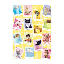 Load image into Gallery viewer, Sure Lox | 300 Piece Puzzlers Choice Puzzle Collection