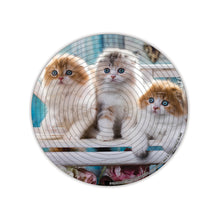 Charger l'image dans la galerie, Spin Flip Puzzles | Kittens & Puppy