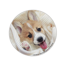 Charger l'image dans la galerie, Spin Flip Puzzles | Kittens & Puppy