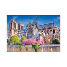 Load image into Gallery viewer, Sure Lox | 6-In-1  Photo Gallery Assortment Puzzle