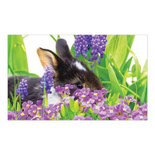 Load image into Gallery viewer, Sure Lox | 6-In-1  Photo Gallery Assortment Puzzle