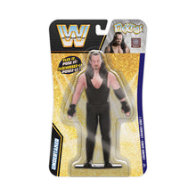 Load image into Gallery viewer, FleXfigs | WWE Legends ~ Posable Flexible Figures Single Packs
