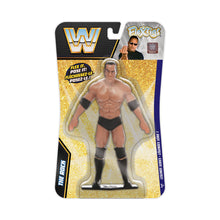 Load image into Gallery viewer, FleXfigs | WWE Legends ~ Posable Flexible Figures Single Packs
