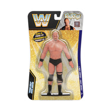 Charger l&#39;image dans la galerie, FleXfigs | WWE Legends ~ Posable Flexible Figures Single Packs
