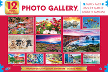 Load image into Gallery viewer, Sure Lox | 12-In-1 Photo Gallery Assortment Puzzle
