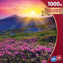 Charger l&#39;image dans la galerie, Sure Lox | 1000 Piece Photographic Puzzle
