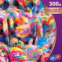 Load image into Gallery viewer, Sure Lox | 300 Piece Photo Gallery Puzzle
